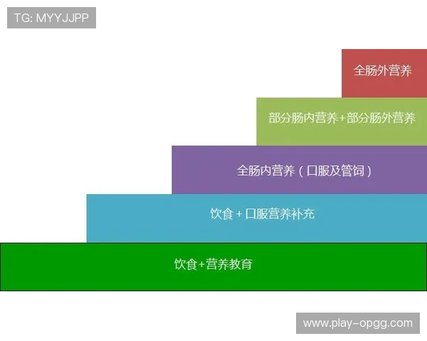 德甲球员饮食调查揭示多数俱乐部重视营养管理七成已配专职专家