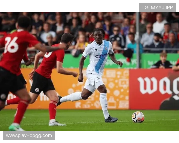 博洛尼亚vs佛罗伦萨数据前瞻：主场战绩略占优，交锋历史胜负参半